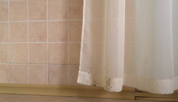  Uvalde Estates, TX Mold Removal Pros