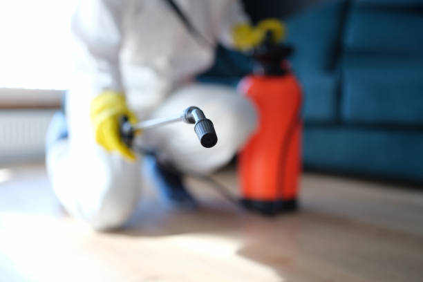 Best Post-Remediation Verification Testing  in Uvalde Estates, TX